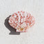 Pink Stone Shell Green