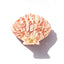 Pink Stone Shell Green